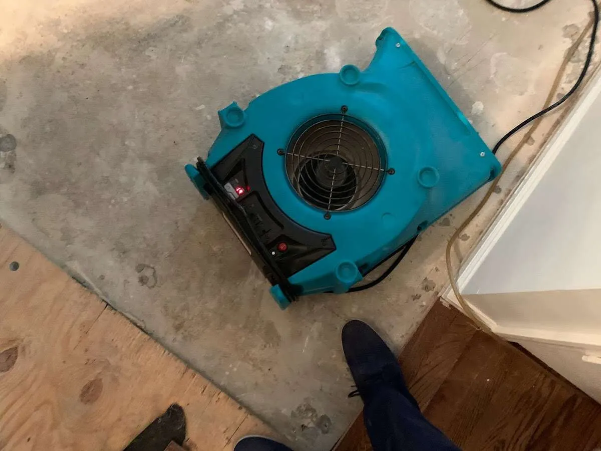 Air mover drying subfloor during Leak Detection & Repair in Meriden